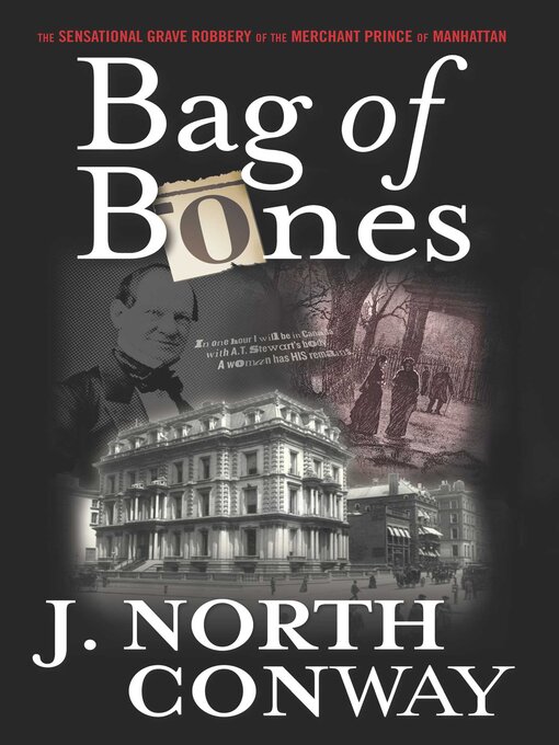 Cover image for Bag of Bones